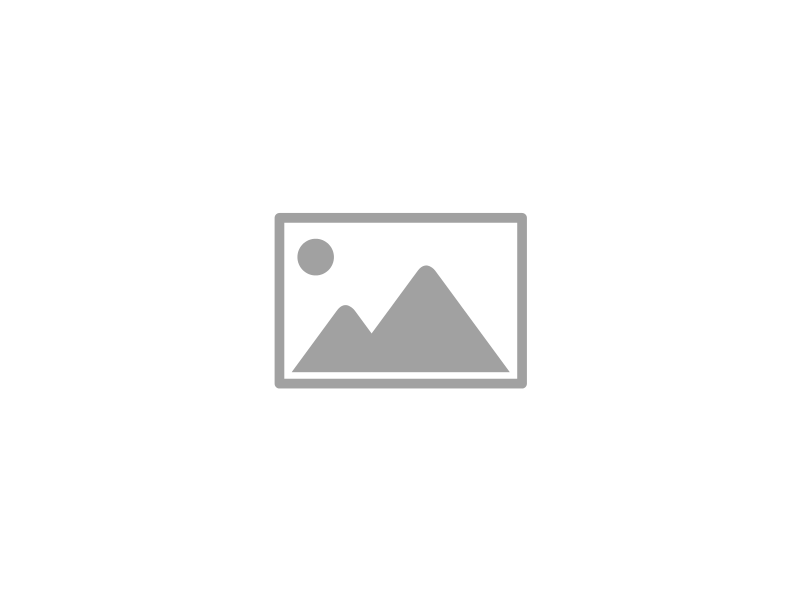 Schutzgarantie